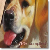 Pets/Animals portraits - 75% completed